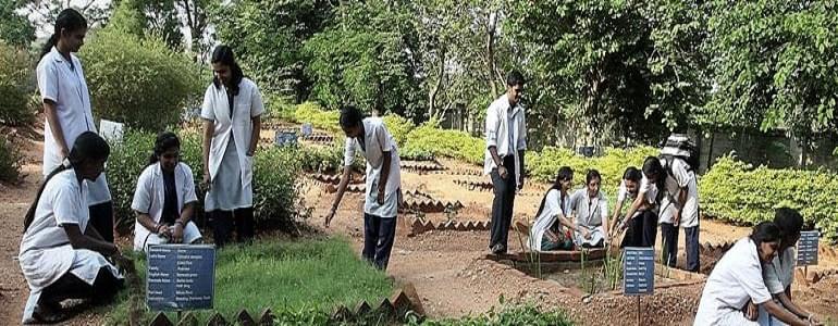 Sri Sri College of Ayurvedic Science and Research Bangalore Activity photo 1